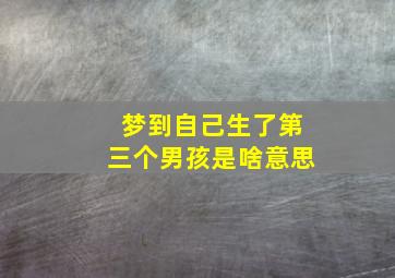 梦到自己生了第三个男孩是啥意思