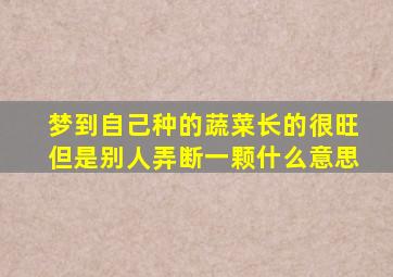 梦到自己种的蔬菜长的很旺但是别人弄断一颗什么意思