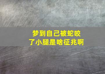 梦到自己被蛇咬了小腿是啥征兆啊