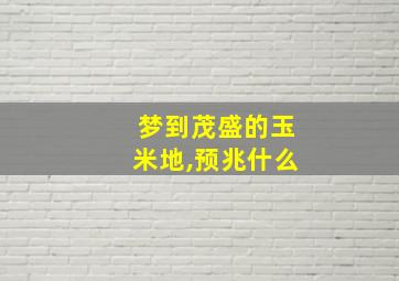 梦到茂盛的玉米地,预兆什么