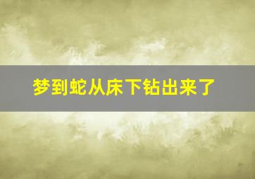 梦到蛇从床下钻出来了