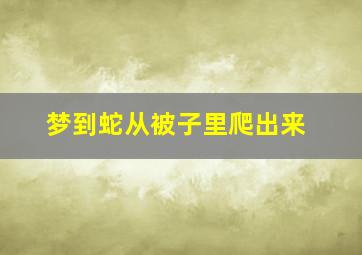 梦到蛇从被子里爬出来