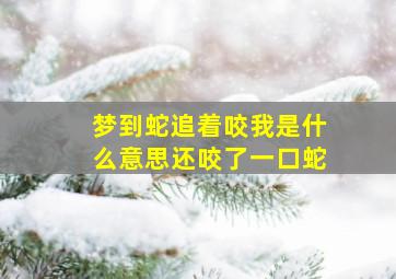 梦到蛇追着咬我是什么意思还咬了一口蛇