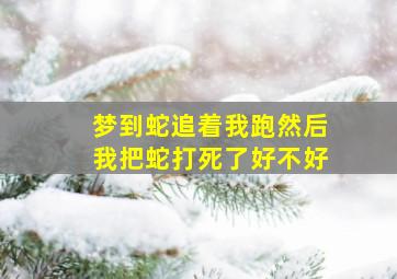 梦到蛇追着我跑然后我把蛇打死了好不好