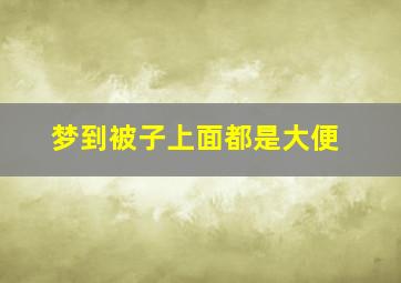 梦到被子上面都是大便