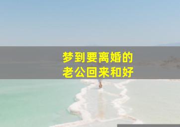 梦到要离婚的老公回来和好