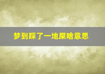 梦到踩了一地屎啥意思