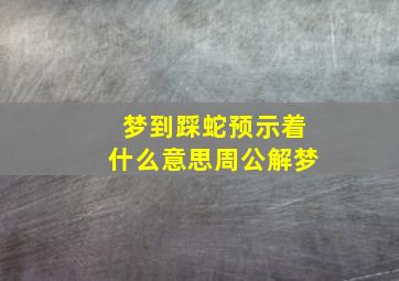 梦到踩蛇预示着什么意思周公解梦