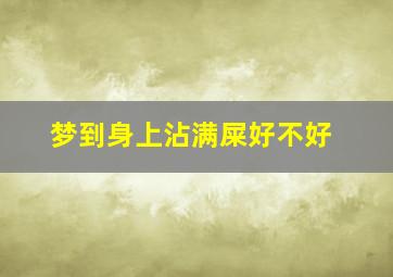 梦到身上沾满屎好不好