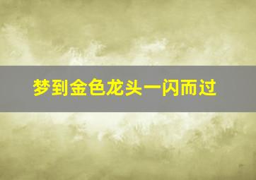 梦到金色龙头一闪而过