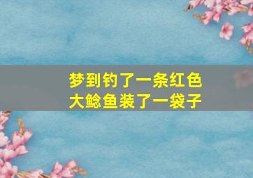 梦到钓了一条红色大鲶鱼装了一袋子