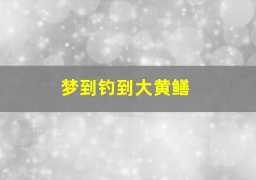 梦到钓到大黄鳝