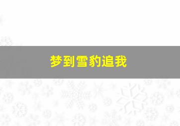 梦到雪豹追我