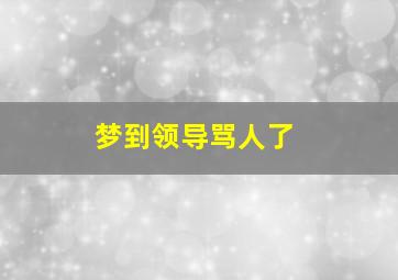 梦到领导骂人了