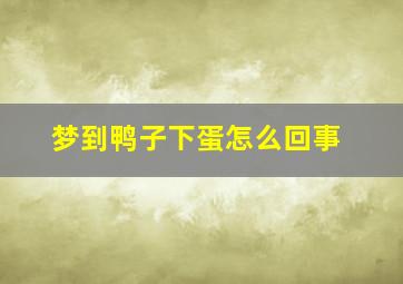 梦到鸭子下蛋怎么回事