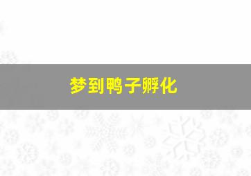 梦到鸭子孵化