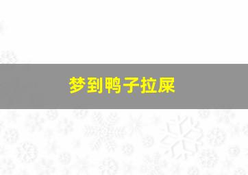 梦到鸭子拉屎