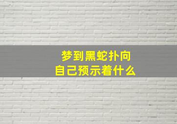 梦到黑蛇扑向自己预示着什么