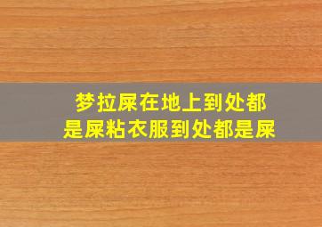 梦拉屎在地上到处都是屎粘衣服到处都是屎