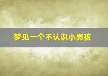 梦见一个不认识小男孩