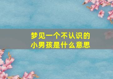 梦见一个不认识的小男孩是什么意思