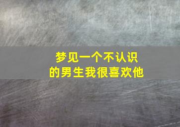 梦见一个不认识的男生我很喜欢他