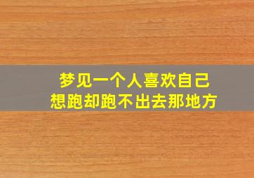 梦见一个人喜欢自己想跑却跑不出去那地方