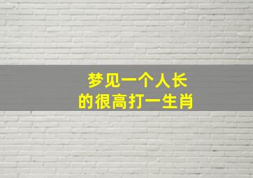 梦见一个人长的很高打一生肖