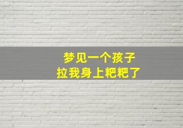 梦见一个孩子拉我身上粑粑了