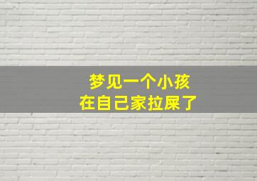 梦见一个小孩在自己家拉屎了