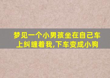 梦见一个小男孩坐在自己车上纠缠着我,下车变成小狗