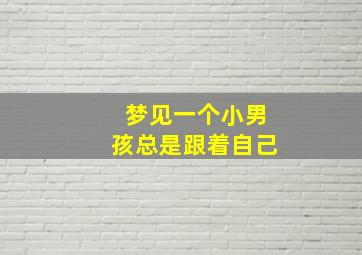 梦见一个小男孩总是跟着自己