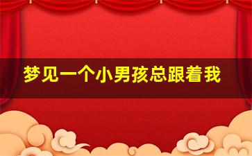 梦见一个小男孩总跟着我