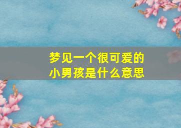 梦见一个很可爱的小男孩是什么意思