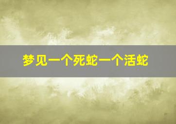 梦见一个死蛇一个活蛇