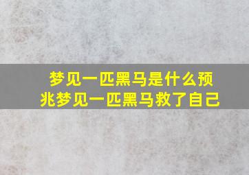 梦见一匹黑马是什么预兆梦见一匹黑马救了自己