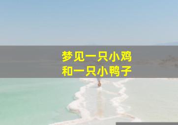 梦见一只小鸡和一只小鸭子