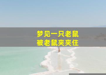 梦见一只老鼠被老鼠夹夹住