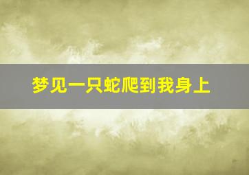 梦见一只蛇爬到我身上