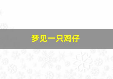 梦见一只鸡仔