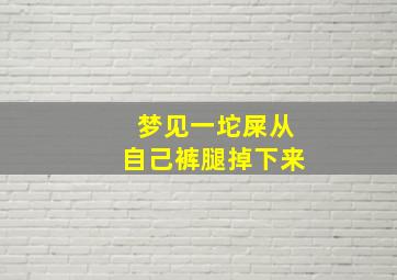 梦见一坨屎从自己裤腿掉下来