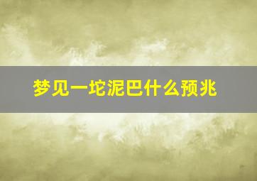 梦见一坨泥巴什么预兆