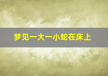 梦见一大一小蛇在床上