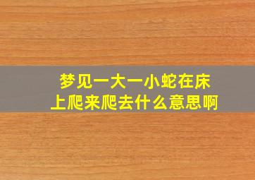 梦见一大一小蛇在床上爬来爬去什么意思啊