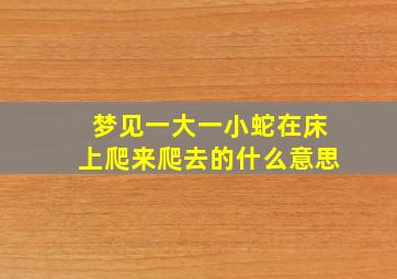 梦见一大一小蛇在床上爬来爬去的什么意思