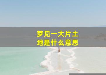 梦见一大片土地是什么意思