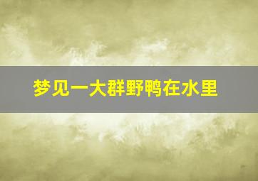 梦见一大群野鸭在水里