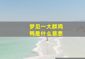 梦见一大群鸡鸭是什么意思