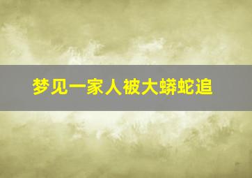 梦见一家人被大蟒蛇追