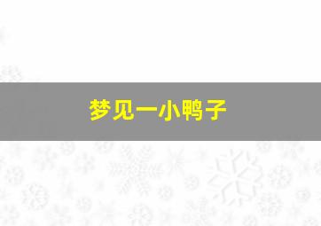 梦见一小鸭子